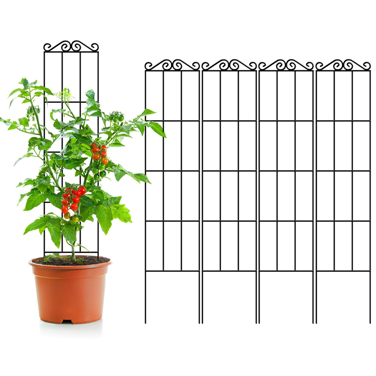 ARIFARO 57.5'' Metal Garden Trellis for Climbing Plants,(Pack of 4) Indoor/Outdoor Sturdy Plant Trellis for Potted Plants,House Plants, Climbing Vines, Black