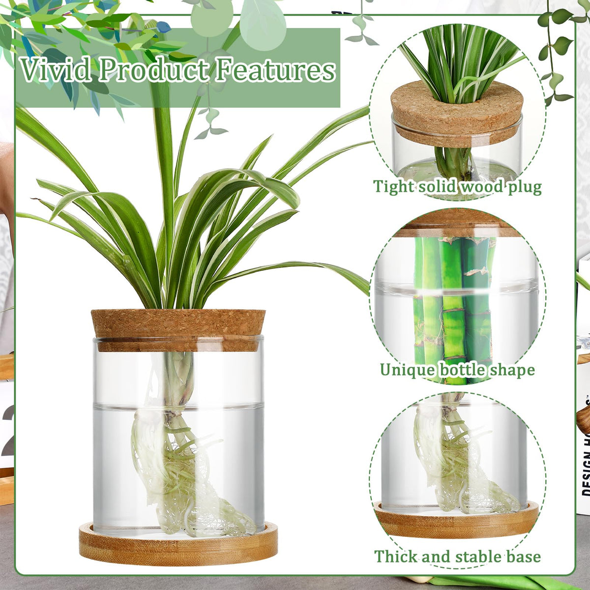 Maxcheck 3 Pcs 3 Sizes Plant Propagation Station Separated Glass Plant Terrarium Water Hydroponic Planter Holder with Lid and Wooden Stand Propagation Vase Pot for Home Indoor Office(Various Sizes)
