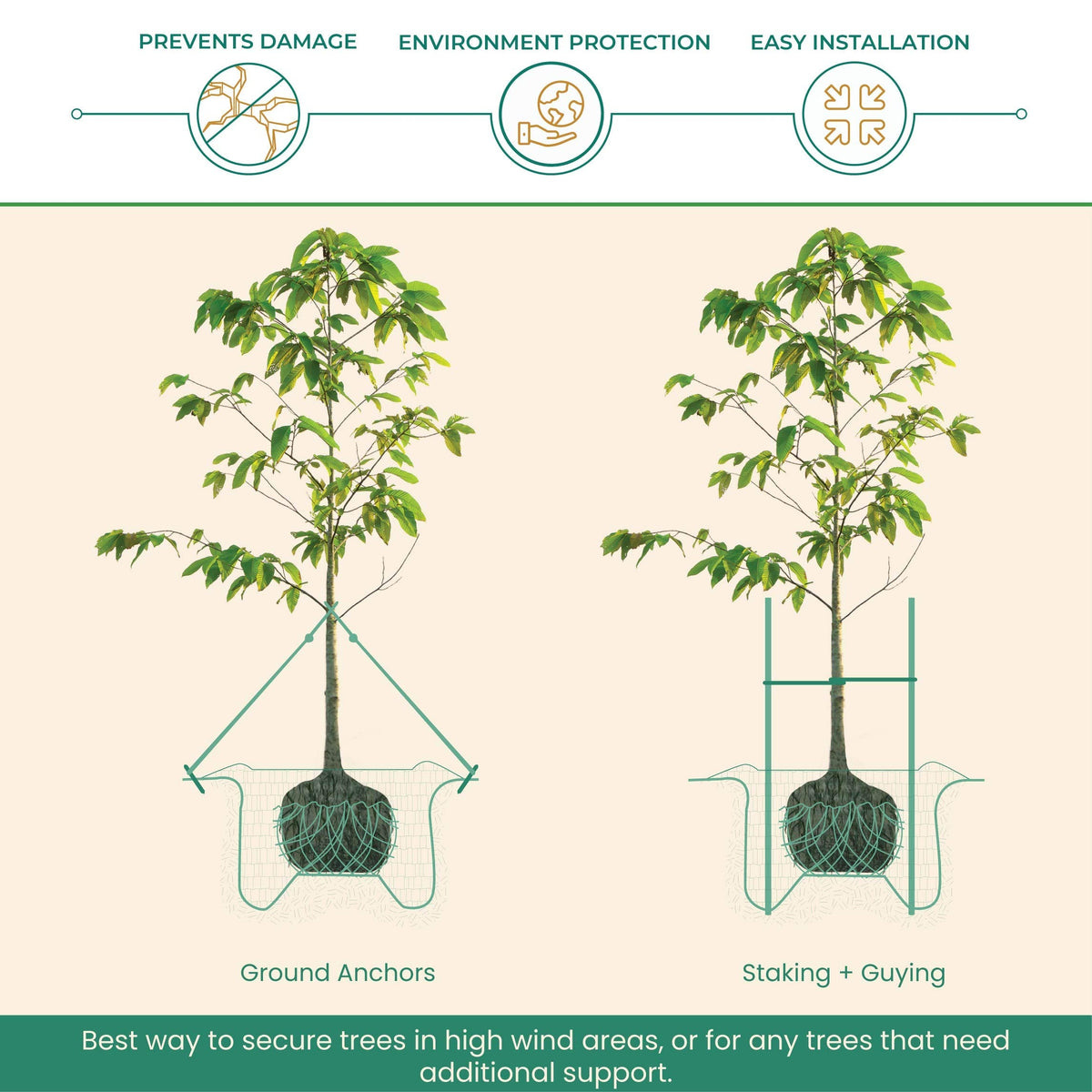 DeepRoot ArborTie Tree Straps for Staking and Guying, Flexible Tree Support Straps, Versatile Tree Rope, Tree Ties For Street Trees, Orchards, and Landscape Trees, 500’ Roll, Olive (AT 5G)
