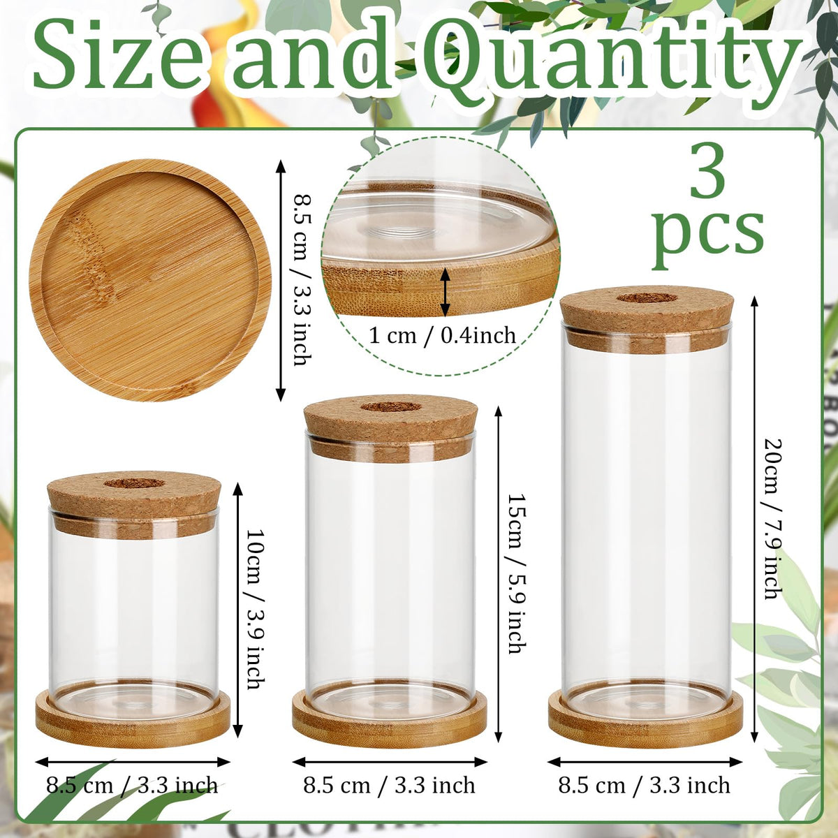 Maxcheck 3 Pcs 3 Sizes Plant Propagation Station Separated Glass Plant Terrarium Water Hydroponic Planter Holder with Lid and Wooden Stand Propagation Vase Pot for Home Indoor Office(Various Sizes)