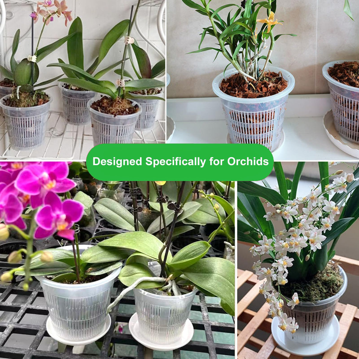 MYITYARD Orchid Pot, 6 Pack 6 Inch Orchid Pots with Holes & Saucers for Repotting - Clear Plastic Plant Pots for Indoor Outdoor Flower Planters Dendrobium Phalaenopsis