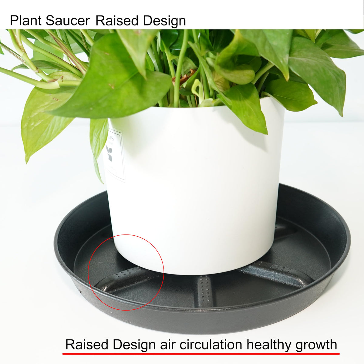 NIMYAU Plant Saucer 10 Inch 4 Pack Thick, Raised Center for Optimal Drainage Plant Saucers, Durable Plastic Drip Tray for Indoor & Outdoor Plants
