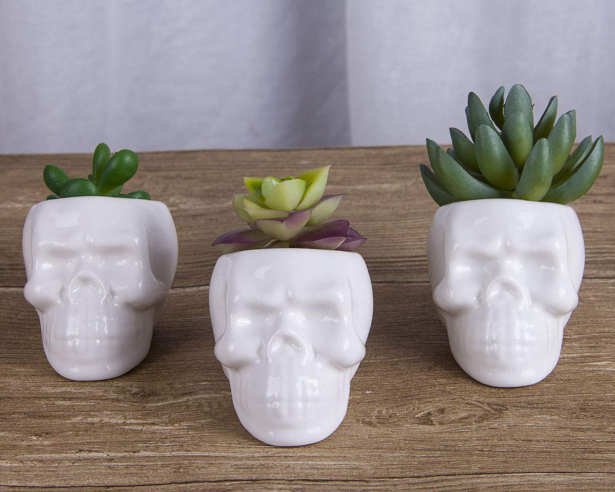 VanEnjoy Set of 3 Ceramic Skull Succulent Pots and Planters Creative Cactus Plant Pot Pen Pencil Holder, Home Office Bedroom Desk Decoration