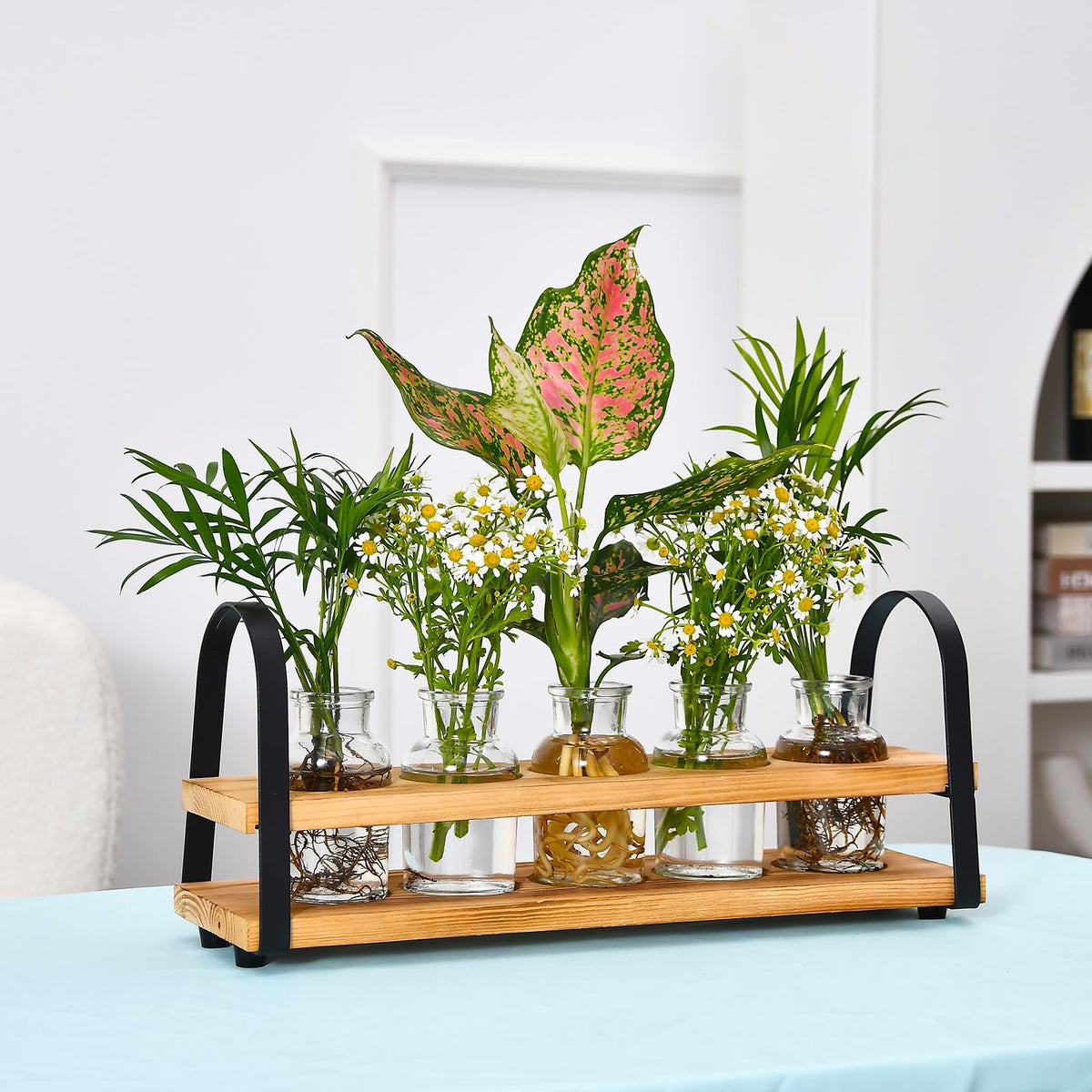 VIKEYHOME Plant Propagation Station with Wood Stand, Desktop Terrarium for Hydroponic, Flower Vase for Home, Kitchen, Office Decor, Plants Lover Gifts