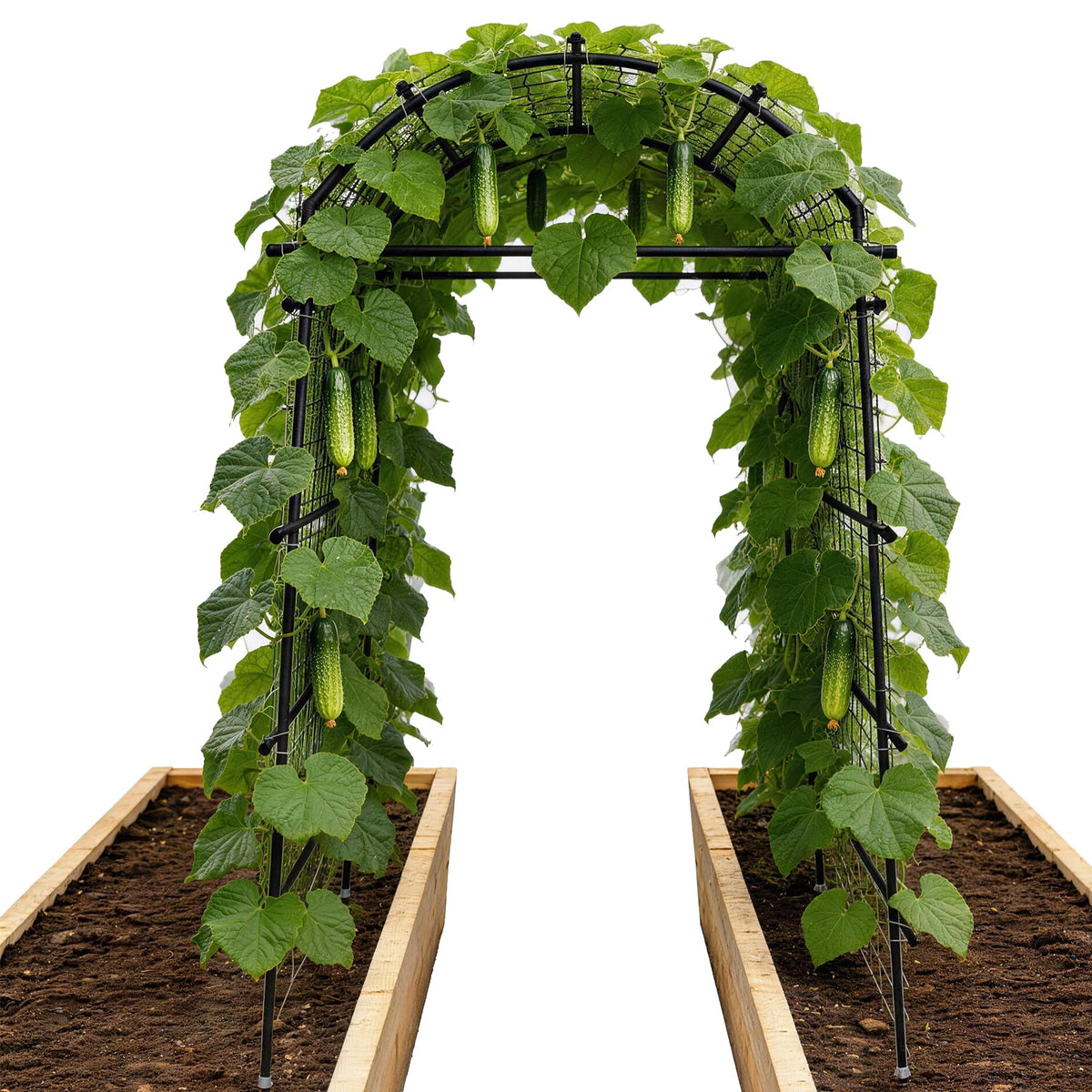Toriexon Garden Arch Trellis for Climbing Plants, Adjustable Tunnel Trellis 7.4FT Tall & 2.8 FT Depth, Metal Plant Support Garden Trellis Arch for Outdoor Climbing Vine,Vegetable, Fruit, Flower
