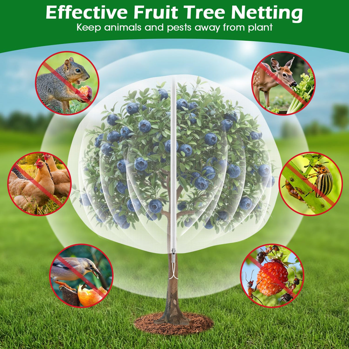 6'x6' Fruit Tree Netting Cover with Zipper and Drawstring, Ultra-Fine Mesh Garden Plant Insect Pest Net Barrier Protection Covers to Prevent Squirrel Bird Deer Cicadas Bag for Blueberry Tomato-1Pcs