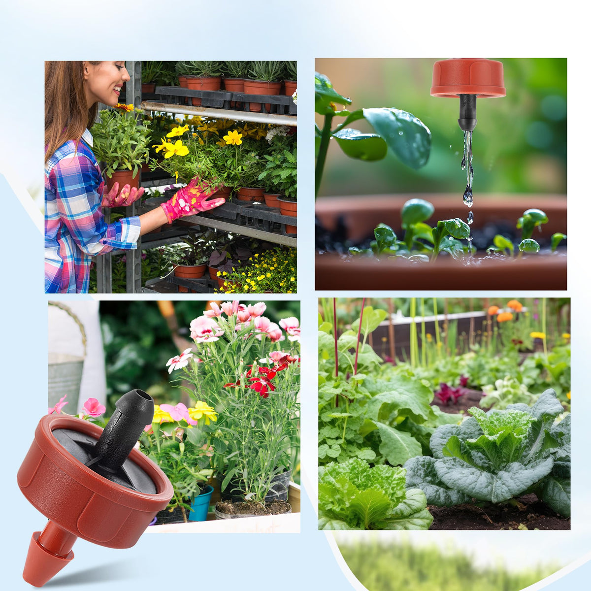 60Pcs 1 GPH Pressure Compensating Irrigation Spot Drippers,Constant Flow Barb Outlet Watering Dripper Emitters Heads Parts for 1/4 Inch Watering Tubing Line for Garden Pots Plants Irrigation Systems