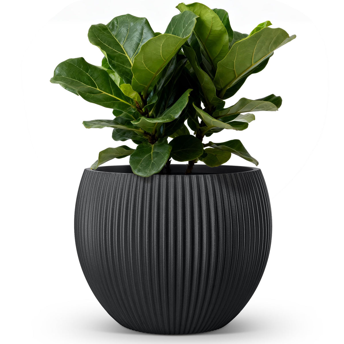 homenote Flower Pots 14.5 Inch,Large Plant Pots Indoor with Drainage,Plastic Pots for Plants,Garden Pots for Outdoor,Large Planters for Indoor Plants,Big Plastic Planter,Black