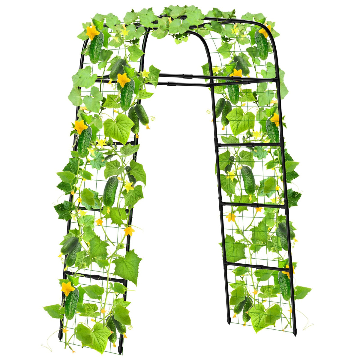 7ft Garden Arch Trellis for Climbing Plants Outdoor-Heavy Duty Metal Cucumber Trellis for Raised Beds- Tall Steel Vegetable Arbor for Climbing Vine Fruit Flower Yard Lawn Arch Tunnel Trellis