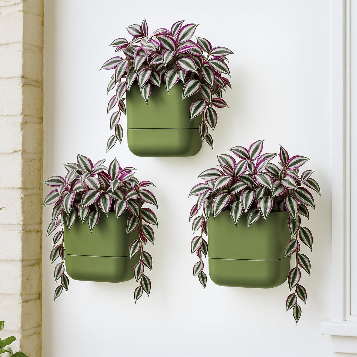 Phoenix Vine 6.5 Inch Wall Mounted Self-Watering Planter Pot for Indoor Houseplants and Herbs | Hanging Planter for Window Sills, Bathroom Walls, Home & Office Décor, Olive, Set of 3, 01-C-F-3