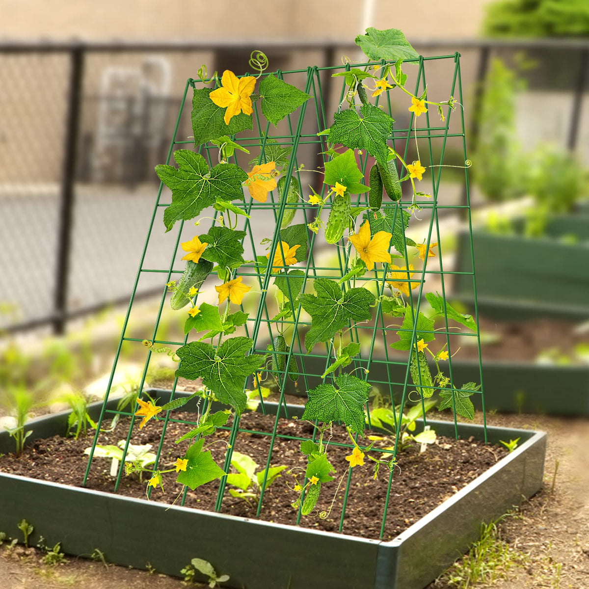 DoCred Cucumber Trellis, 2 Pack Foldable A Frame Trellis for Raised Bed Climbing Plants, Vegetables, Includes Plant Support Clips, Twist Ties, Plastic Ties- Made from PVC-Coated Steel
