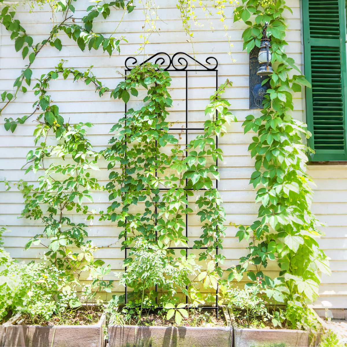 ARIFARO 57.5'' Metal Garden Trellis for Climbing Plants,(Pack of 4) Indoor/Outdoor Sturdy Plant Trellis for Potted Plants,House Plants, Climbing Vines, Black