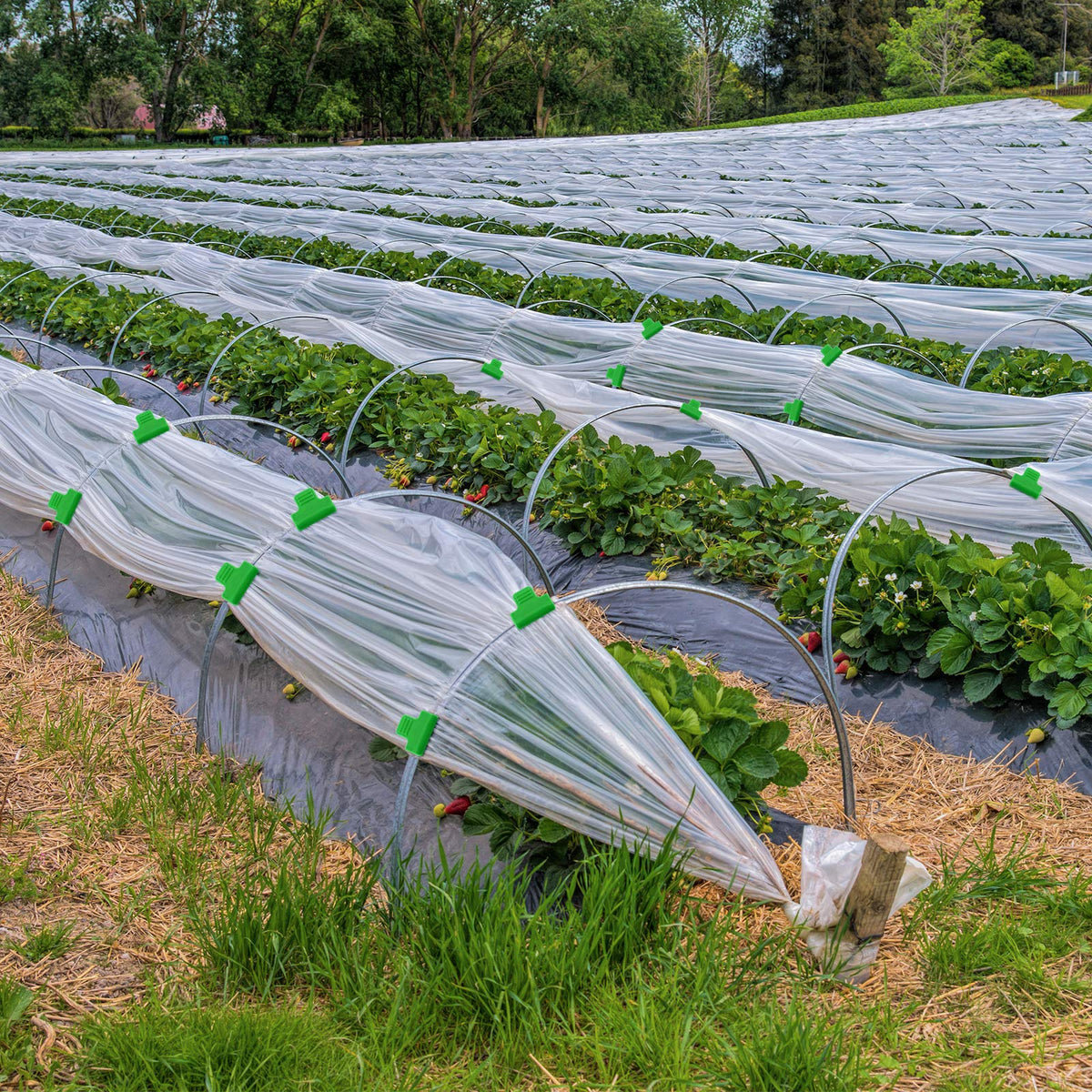 Patelai 40 Pieces Greenhouse Clamps Film Row Cover Netting Tunnel Hoop Clip Frame Shading Net Rod Clip Greenhouse Film Clamps for Season Plant Extension Support (40 pieces,10 mm)